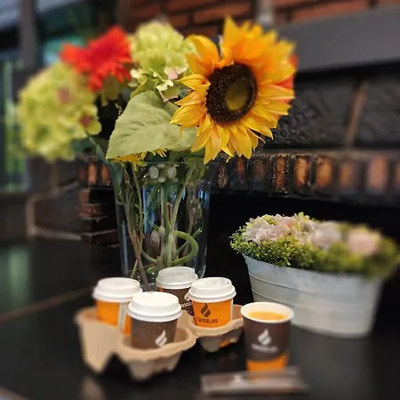 Pensjonat San Andres