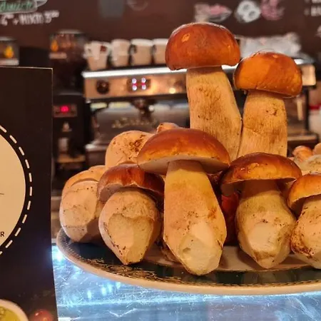 Pensjonat San Andres Soria