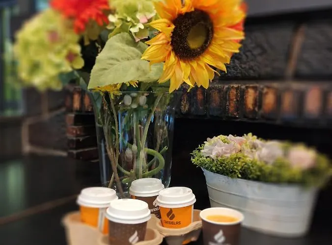 Gæstehus San Andres