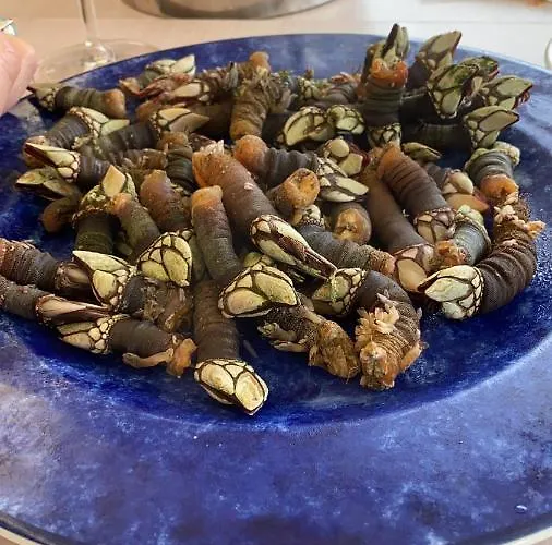 Gæstehus San Andres