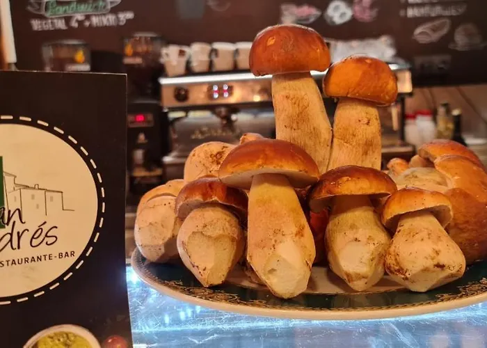 Gæstehus San Andres Soria