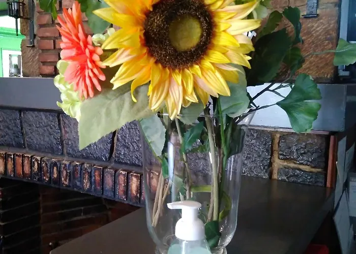 San Andres Gæstehus